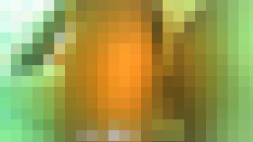 106411 01