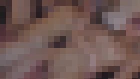 109418 01