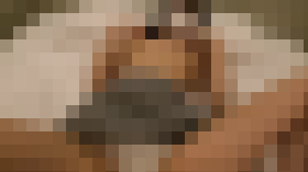 112512 01