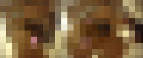 113335 01