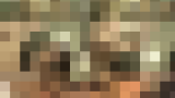 113635 01