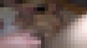 114771 01