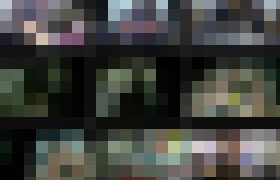 115593 01