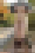 115903 01