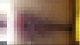 116498 01