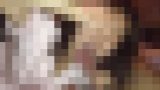 117293 01