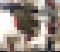 117477 01