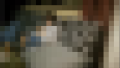 118759 01