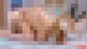 119666 01