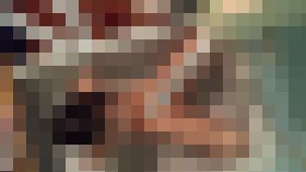 120036 01