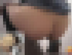 120259 01