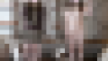120356 01