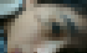 120595 01