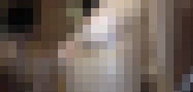 121445 01