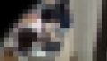 121784 01